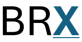 BankRegX Logo